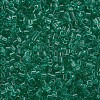 Transparent Glass Cylinder Beads SEED-S047-I-001-3
