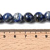 Natural Lapis Lazuli Beads Strands G-G344-A09-10mm-5
