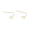 316 Surgical Stainless Steel Earring Hooks X-STAS-P307-07G-2