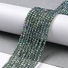 Electroplate Transparent Glass Beads Strands X-GLAA-H021-01A-FR01-3