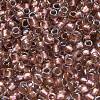 TOHO 6/0 Round Beads SEED-TR06-0267-4