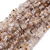 Natural Lodolite Quartz Beads Strands G-H315-A01-01-2