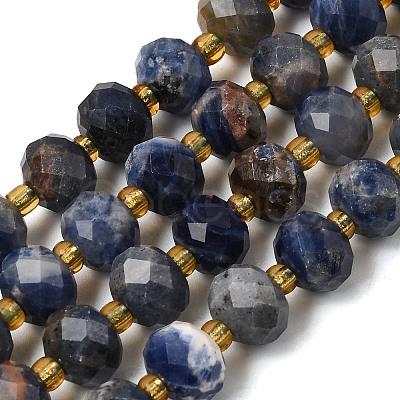 Natural Sodalite Beads Strands G-D105-B09-02-1
