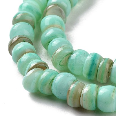 Natural Cultured Freshwater Shell Beads Strands SHEL-F002-01C-1