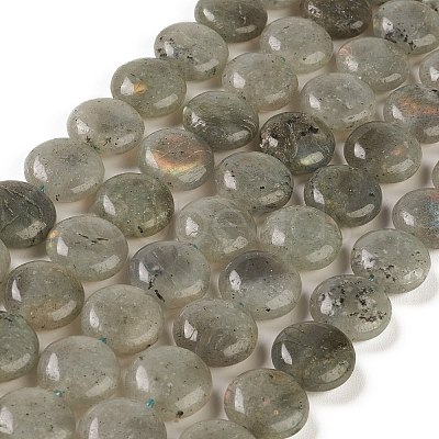 Natural Labradorite Beads Strands G-M403-C09-01-1