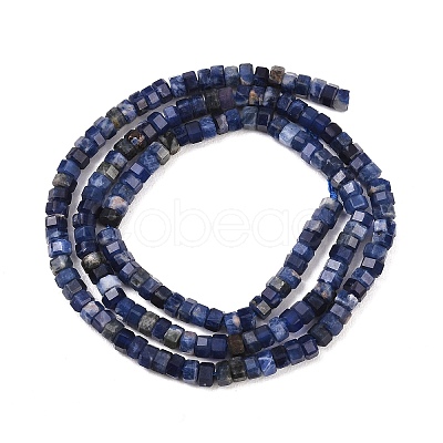 Natural Sodalite Beads Strands G-G345-C31-2x4mm-1