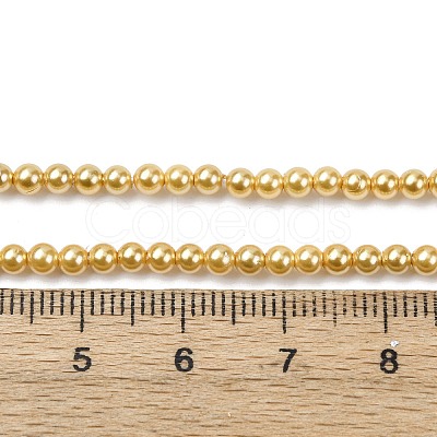 Electroplated Shell Pearl Beads Strands BSHE-G041-3mm-01-1