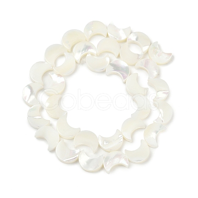 Natural White Shell Beads Strands SSHEL-10X12-1