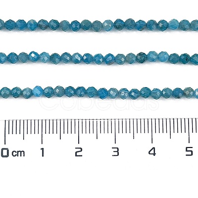 Natural Apatite Beads Strands X-G-Z057-B02-02-1