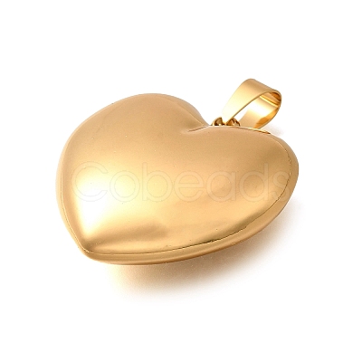 304 Stainless Steel Pendants LS-STAS-H200-01G-15-1
