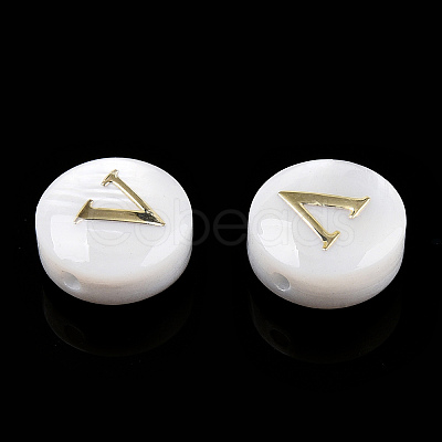 Natural Freshwater Shell Beads SHEL-N036-01V-1