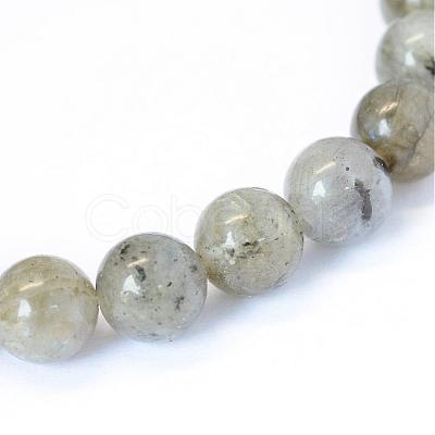 Natural Labradorite Round Bead Strands G-E334-6mm-19-1