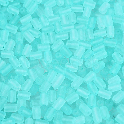 FGB Frosted Transparent Glass Seed Beads SEED-N013-05A-10-1