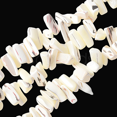 1 Strand Dyed Natural Trochus Shell Beads Strands SSHEL-PA0001-01B-1