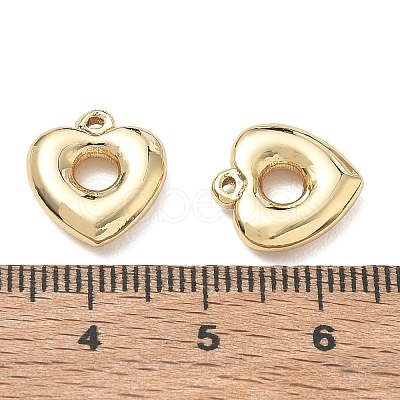 304 Stainless Steel Charms SA-CBA3037-20G-01-1