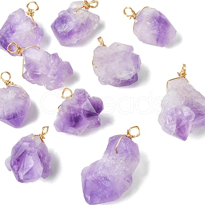 10Pcs Natural Amethyst Pendants PALLOY-CJ00158-1