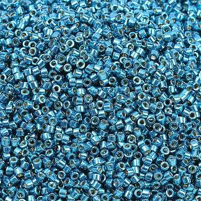 MIYUKI Delica Beads LS-X-SEED-J020-DB2513-1