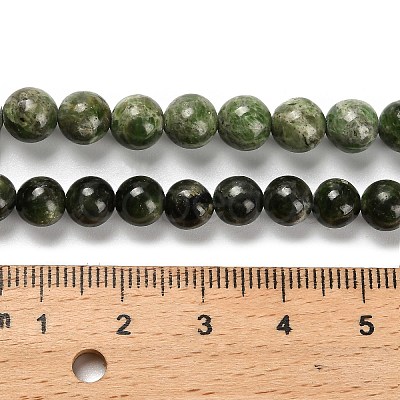 Natural Diopside Beads Strands G-R006-A01-03-1