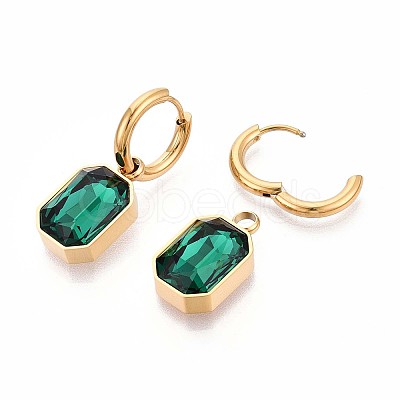 304 Stainless Steel Hoop Earrings EJEW-T047-14G-A-1