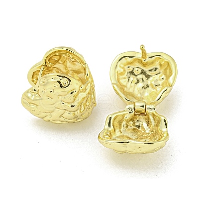 Brass Hoop Earrings EJEW-Q799-03C-G-1