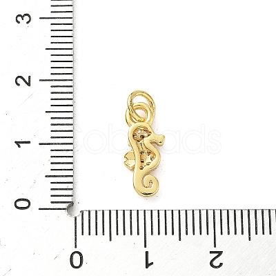 Brass Micro Pave Cubic Zirconia Charms KK-I381-07G-03-1
