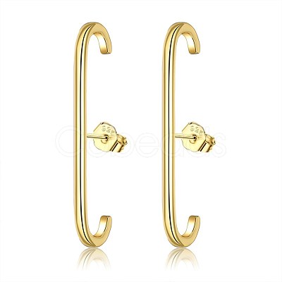 Brass Stud Earrings EJEW-BB46152-G-1