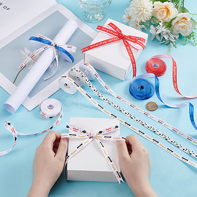 6 Rolls 6 Colors Polyester Ribbon OCOR-UN0001-12-1