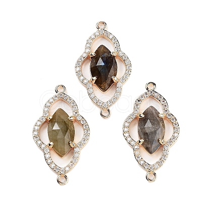 Natural Labradorite Faceted Connector Charms G-B081-01G-02-1