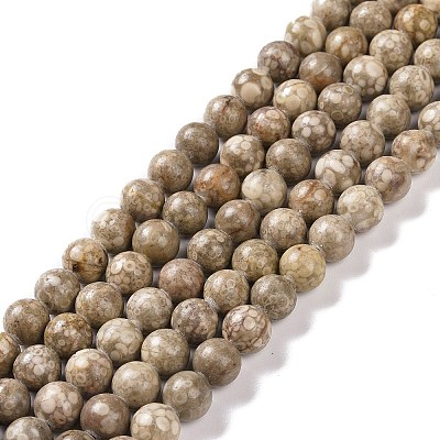 Natural Maifanite/Maifan Stone Beads Strands G-I187-4mm-01-1