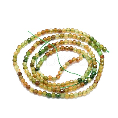Natural Tourmaline Beads Strands G-P457-A01-14D-1