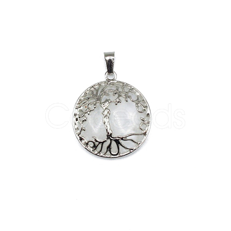 Natural Quartz Crystal Pendants FIND-PW0025-04J-1