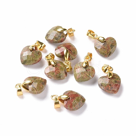 Natural Unakite Pendants G-C023-07E-1