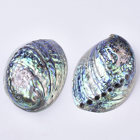 Natural Abalone Shell/Paua Shell Display Decoration SSHEL-N0334-01-1