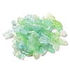 Imitation Jelly Acrylic Beads OACR-H039-02H-1