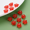 Transparent Acrylic Beads LS-MACR-S373-26E-04-6