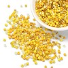 Opaque & Transparent Inside Colours Glass Seed Beads SEED-YW0002-17D-1