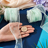 Polyester Deco Mesh Ribbons OCOR-TAC0024-004G-7