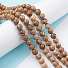 Natural Maifanite/Maifan Stone Beads Strands G-P451-01A-C-2