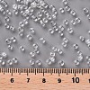 8/0 Glass Seed Beads SEED-A006-3mm-101-3