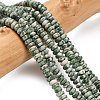 Natural Green Spot Jasper Beads Strands G-L635-A20-4x2mm-1