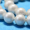 Round Shell Pearl Bead Strands X-BSHE-L011-8mm-A013A-4