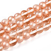 Baking Paint Transparent Glass Beads Strands DGLA-N011-10mm-04-1