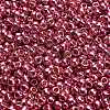 TOHO 6/0 Round Beads X-SEED-TR06-PF0553-4