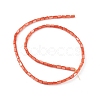 Natural Freshwater Shell Dyed Beads Strands SHEL-M018-12-02-2