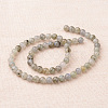 Natural Labradorite Round Beads Strands G-I168-04-6mm-2