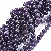 Natural Amethyst Beads Strands G-I256-02B-1