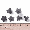 Transparent Acrylic Beads PLF018-17-4