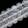 Natural Rainbow Moonstone Round Bead Strands G-M263-D-02A-2