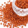 8/0 Glass Bugle Beads SEED-S032-07A-29-1