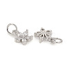 Brass Micro Pave Cubic Zirconia Charms ZIRC-L096-10P-2